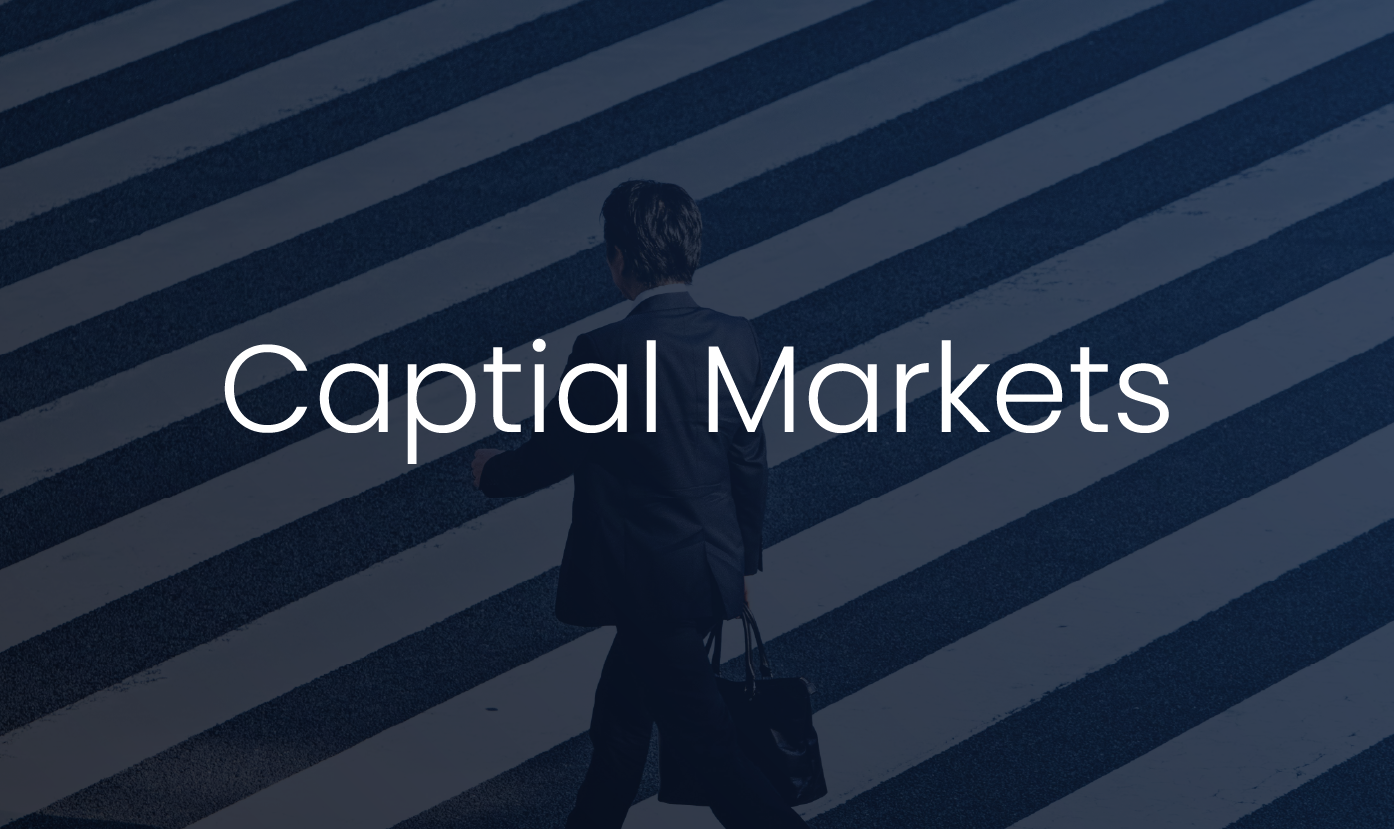 H&P Capital Markets Executive Search Services